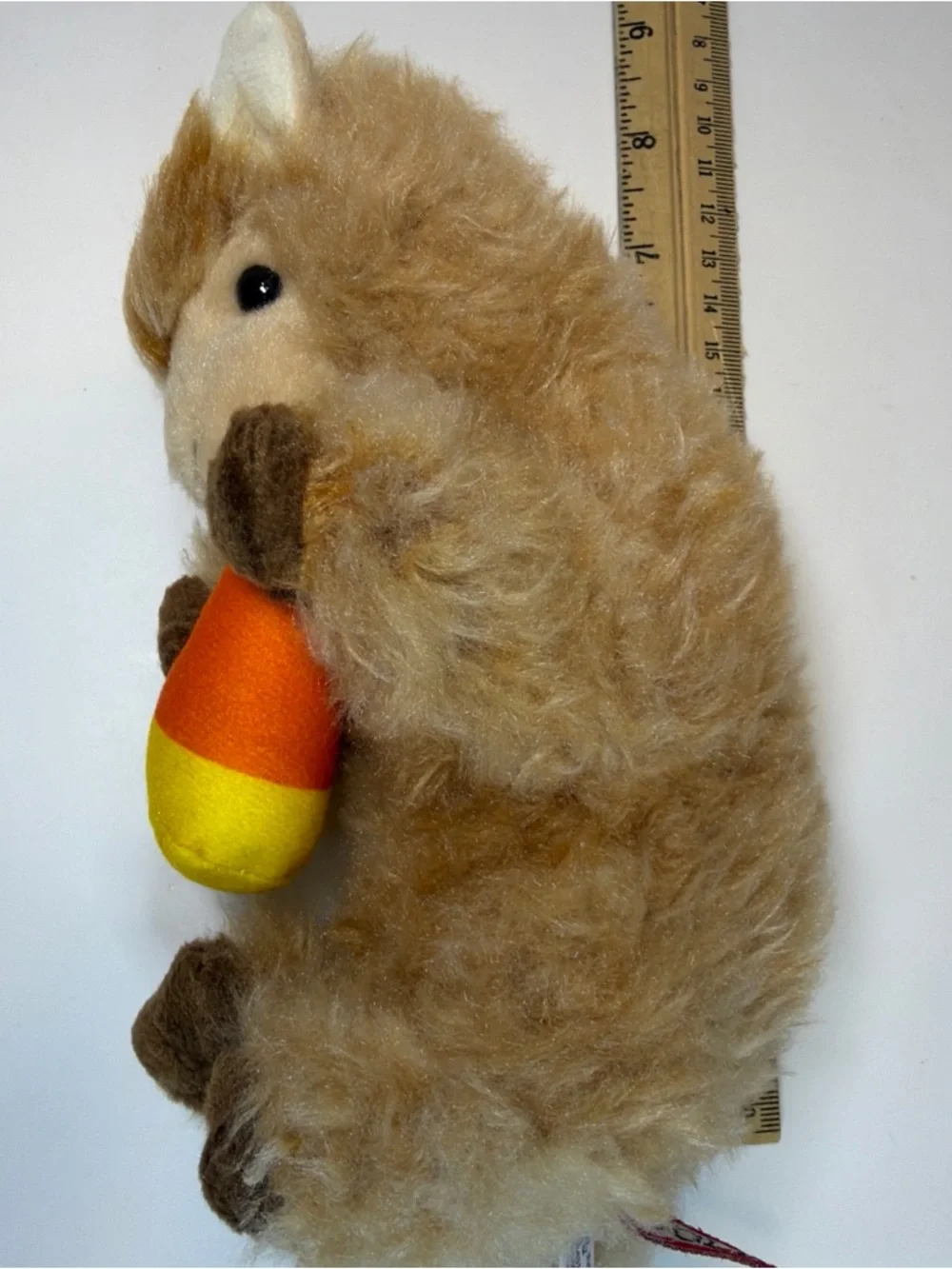 Douglas rare alpaca